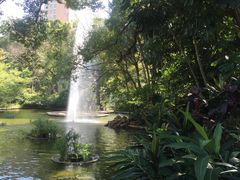 -九龙公园