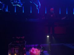 -PAPAYA CLUB 酒吧(深圳旗舰店)