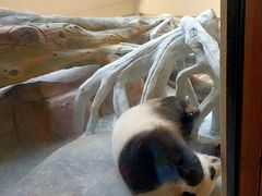 -宁波野生动物园