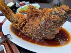 -老山东·山东菜(鲁菜名店)