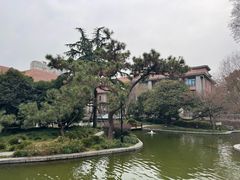 -上海瑞金洲际酒店