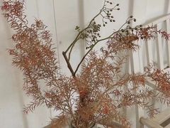 -花苑里咖啡(威远店)