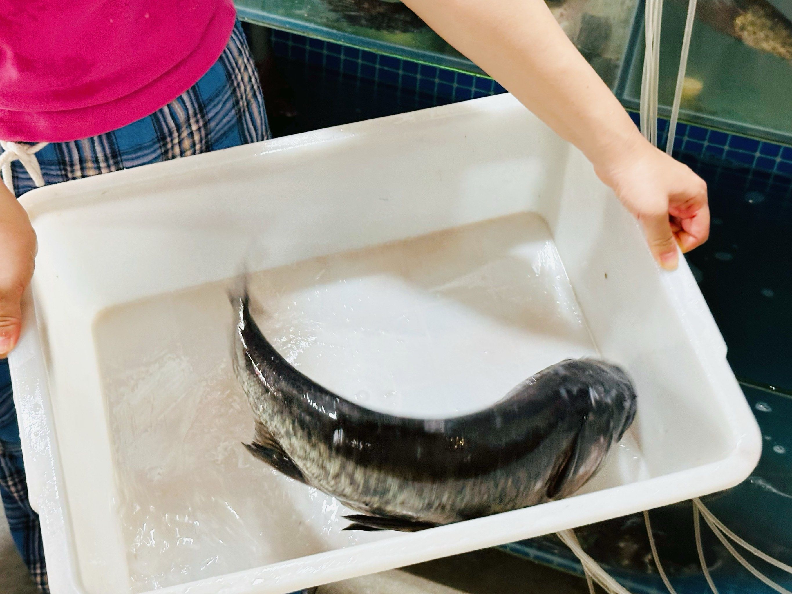 双星辉映邕城有礼！汪苏泷、华晨宇南宁演唱会文旅体商优惠全攻略！