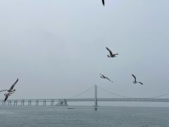 -金沙滩度假村