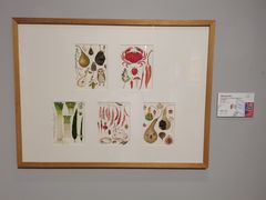 -【朵云轩艺术中心】博洛尼亚插画展·中国巡展·上海站