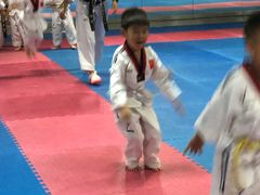 -陈中跆拳道(中关村馆)