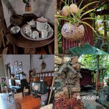 海南探店｜是我无限回访的复古老房屋咖啡☕️