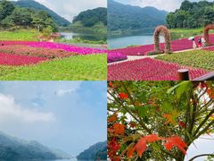 -广州市石门国家森林公园