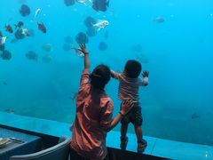 -瑞德姆美人鱼海底演艺主题餐厅(亚龙湾店)