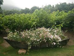 -乌石塘景区