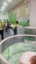 点击看大图 -鳄鱼泡泡游泳馆(新DNA购物中心店)