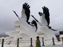 -郭莽湿地