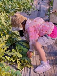 -前小桔亲子创意农场·草莓采摘·露营烧烤
