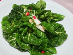 爽口奶白菜-新沸腾鱼乡(世贸天阶店)