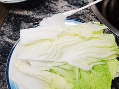 -乳仔牛牦牛汤锅 烤羊排(松潘古城店)