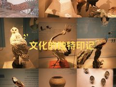 -台州博物馆