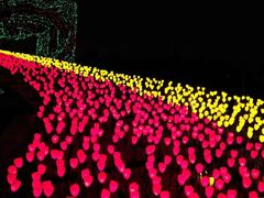 -长春公园(普阳街道)