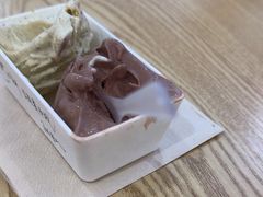 -野人先生Gelato(上海长宁龙之梦店)