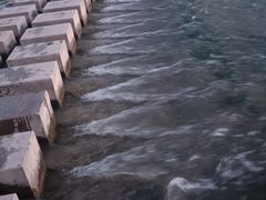 -洨河生态公园