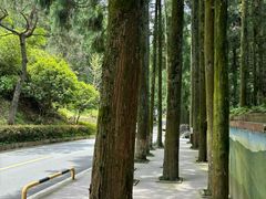 -鼓岭旅游度假区