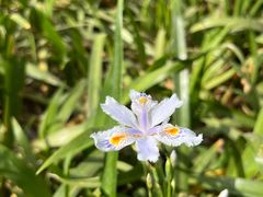 -唐城墙遗址公园