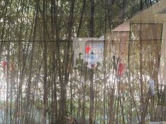 -荷风细雨·中国茶宴(碧云店)