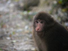-西岭雪山大飞水景区