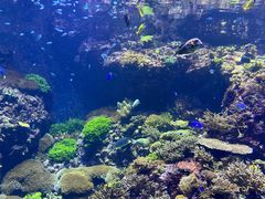 -珠海长隆海洋王国
