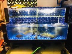 水产区-农汤老店(顺联公园里店)