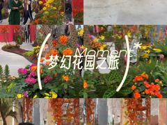 -望湖公园