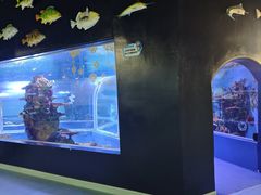 -上海大自然野生昆虫馆(东方明珠·爬宠昆虫探索中心)