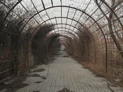 -万源龙顺度假庄园生态观光园