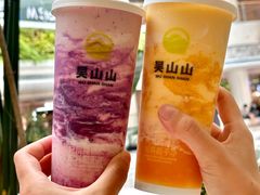 -吴山山·椰子酸奶(天河南店)