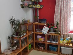 -井德幼儿园(泰达园)