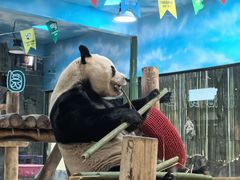 -栾川竹海野生动物园