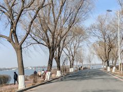 -丁香湖公园