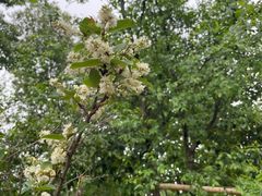 -世纪联华(安徽六安店)