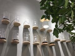 -树夏(金楠天街店)
