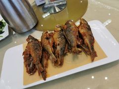 香煎禾花鱼-小北江河鲜(新城店)