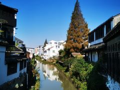 -金山嘴渔村