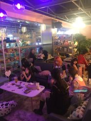 -doladola(徐家汇店)