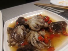 八爪鱼-海底捞火锅(凯德广场店)