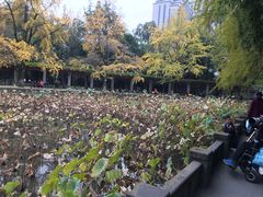 -四川大学(华西校区)