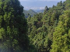 -福建鲤鱼洲酒店