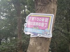 -广州市帽峰山景区