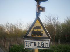 -西青郊野公园