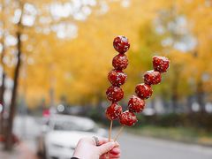 -邓记新一代糖油果子(四川煤管局供销公司职工宿舍店)