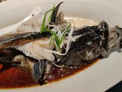 -鑫悦楼煎蟹·16年海鲜大排档