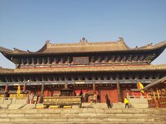 -大槐树寻根祭祖园