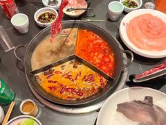 -巴蜀大将火锅(春熙店)